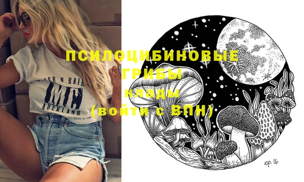 2c-b Беломорск