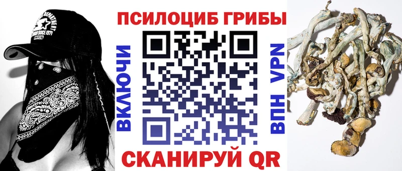 Псилоцибиновые грибы MAGIC MUSHROOMS  Циолковский 